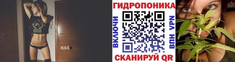 Бошки Шишки Amnesia  Ярцево 